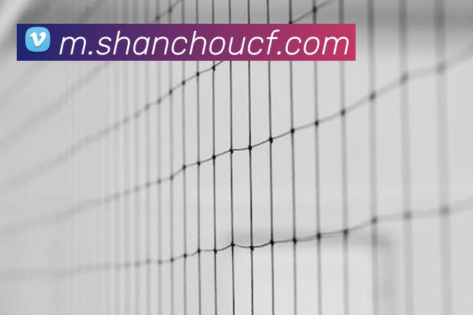 App Interface Preview